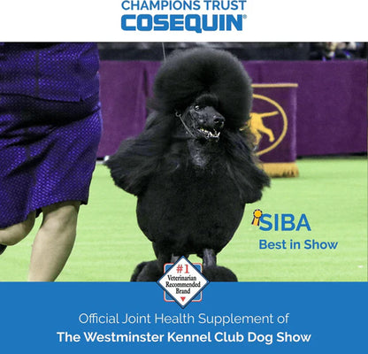 Nutramax Cosequin Maximum Strength Joint Health Supplement Plus MSM & HA for Dogs – Advanced Joint Care | UK Stock
