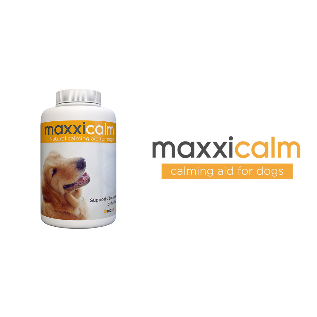 maxxicalm calming aid for dogs supplement 