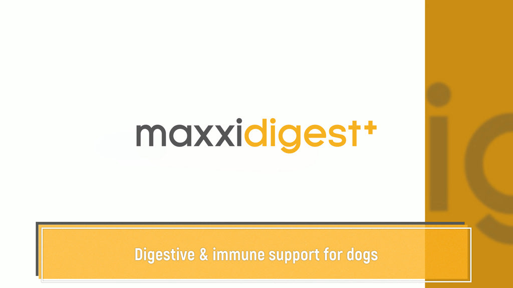 maxxidigest+ for dogs logo