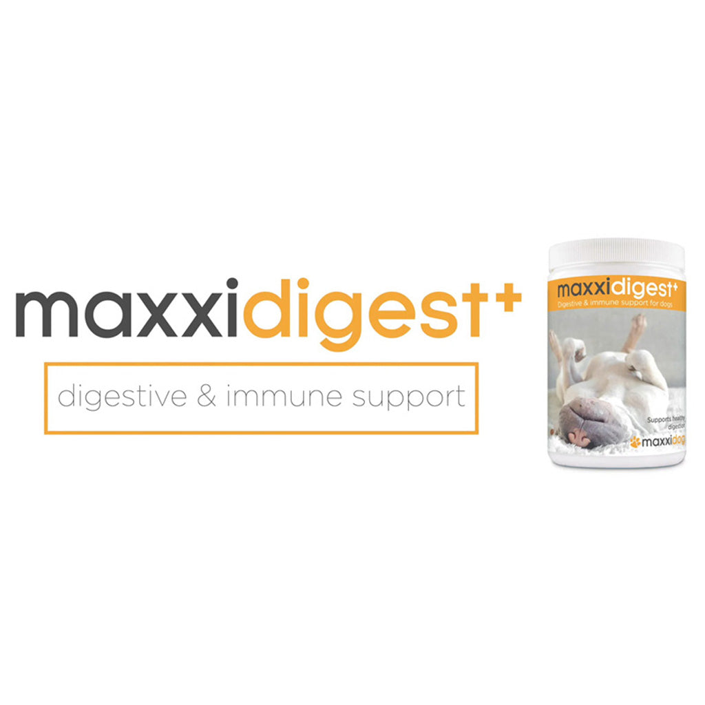 maxxidigest+ for dogs digestive & immune support