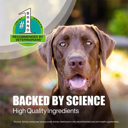 Nutramax Dasuquin Soft Chews for Large Dogs – Advanced Joint Health Formula | UK Stock Backed by Science