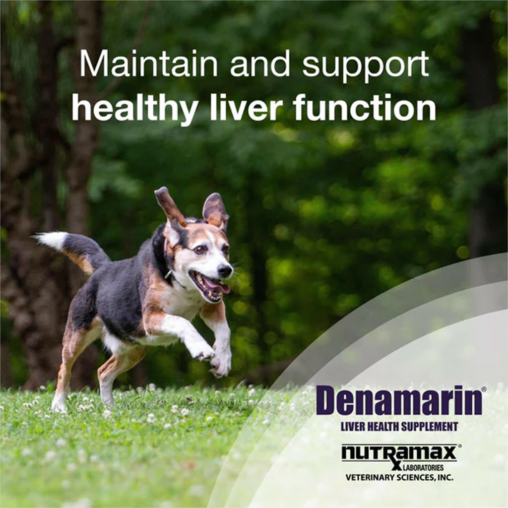 Denamarin Liver Health Supplements for Dogs – Support Healthy Liver Function | USA Made | Available in UK Now