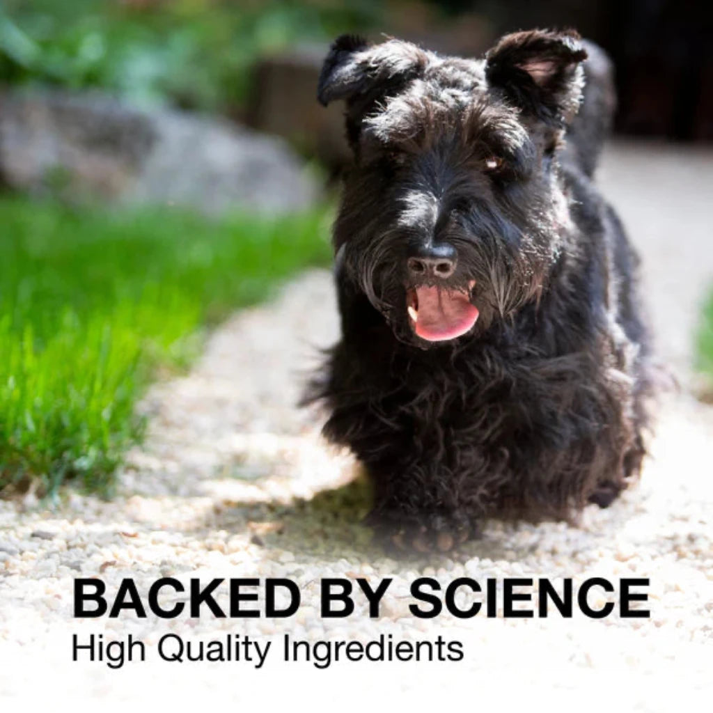 Nutramax Denosyl Liver and Brain Health Supplement for Medium Dogs, With S-Adenosylmethionine (SAMe) backed by science