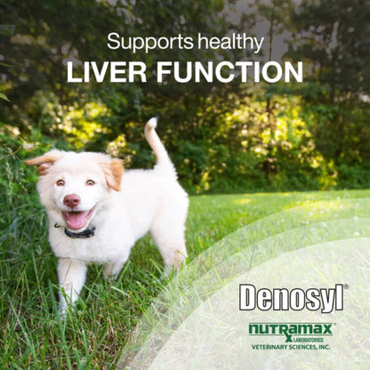 Nutramax Denosyl Liver and Brain Health Supplement for Medium Dogs, With S-Adenosylmethionine (SAMe) supports healthy liver function