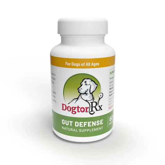 DogtorRx Gut Defense gut health supplement for dogs, tub shown front on
