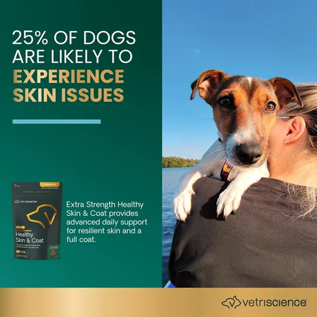 Dog with a person by a lake, with text about skin issues and a Vetriscience product.