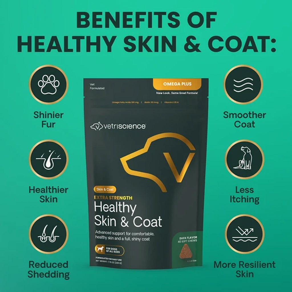 Vetriscience dog supplement package centered on a teal background with the headline 'BENEFITS OF HEALTHY SKIN & COAT:' and six circular benefit icons around the product.