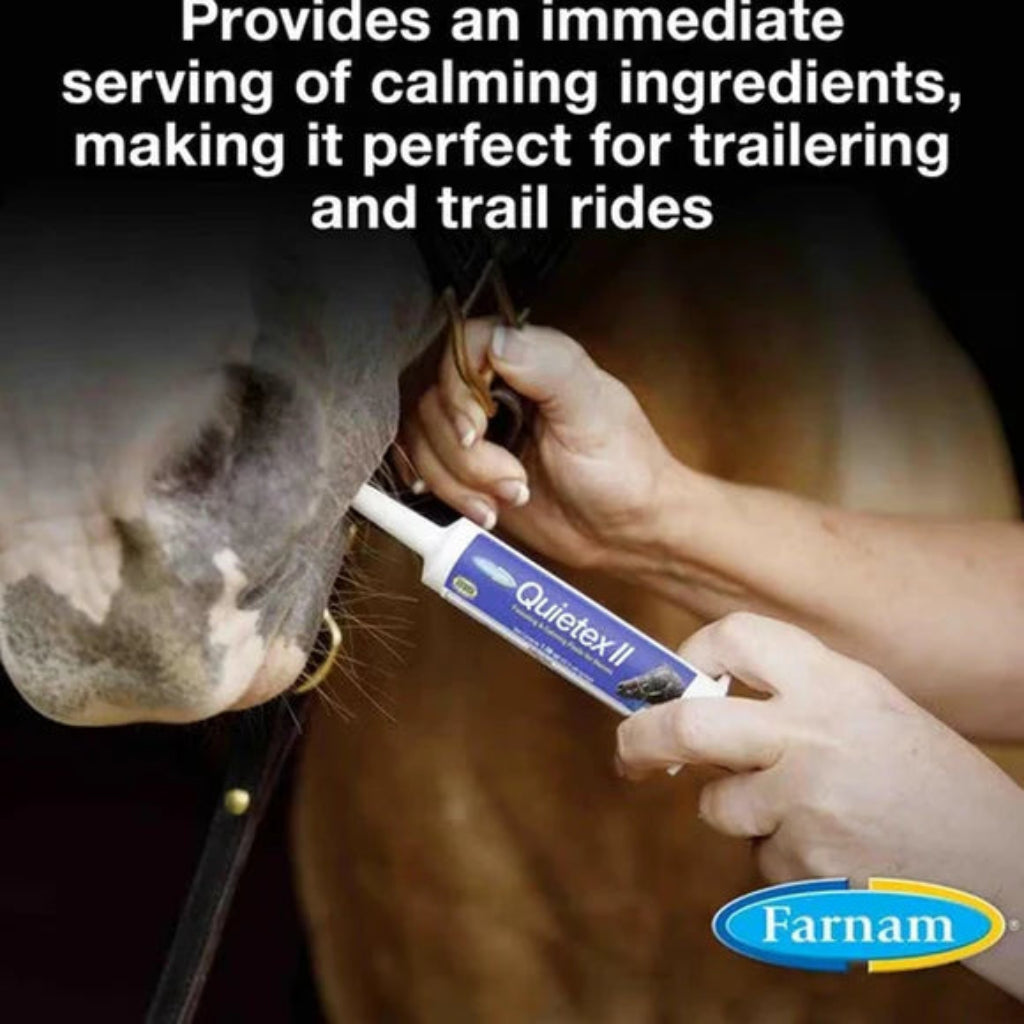 Person applying Quietex II to a horse's mouth with text about calming ingredients for trailering and rides.