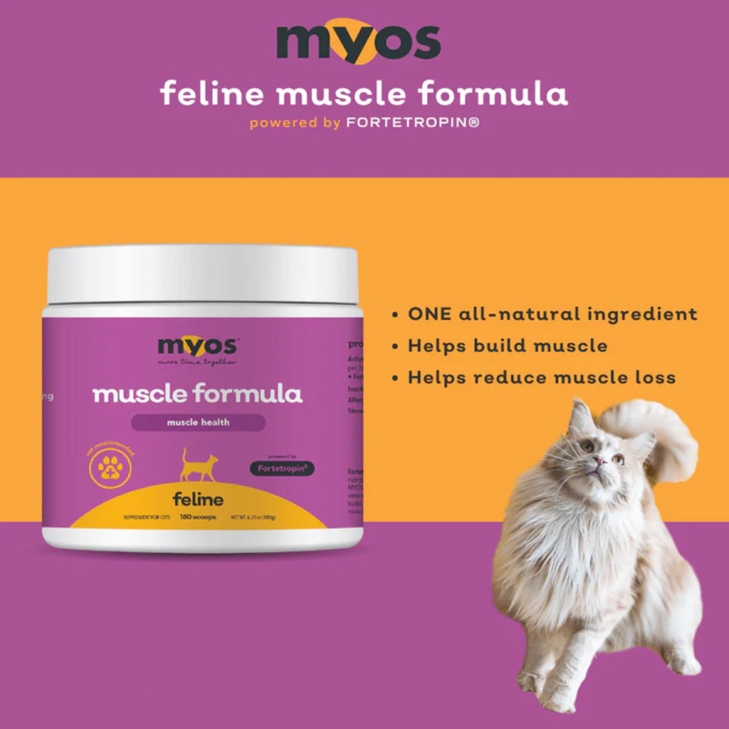 mvos feline muscle formula packaging with a cat on a purple and orange background