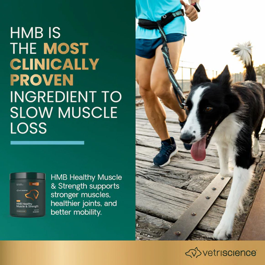 VetriScience HMB Healthy Muscle & Strength Granules for Dogs | 240 g | Available at Boss Pets UK