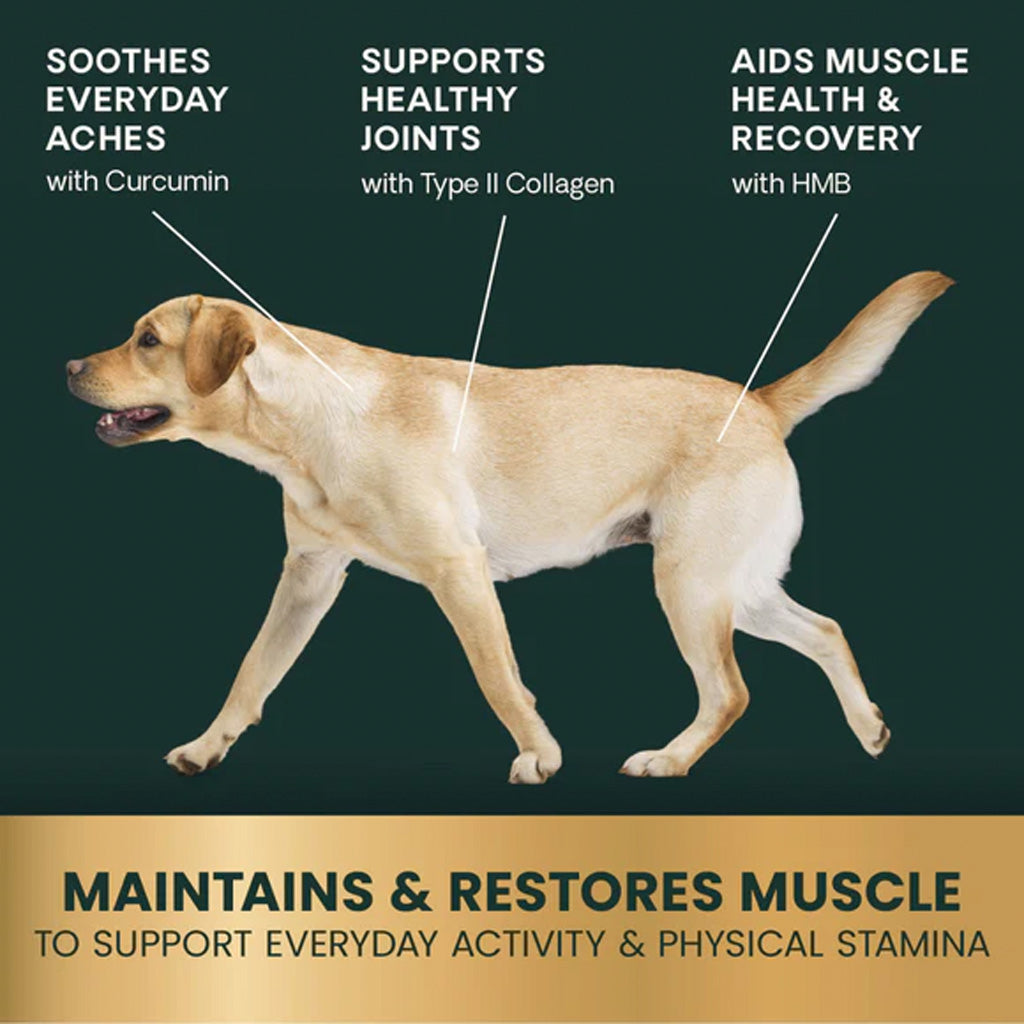 VetriScience HMB Healthy Muscle & Strength Granules for Dogs | 240 g | Available at Boss Pets UK