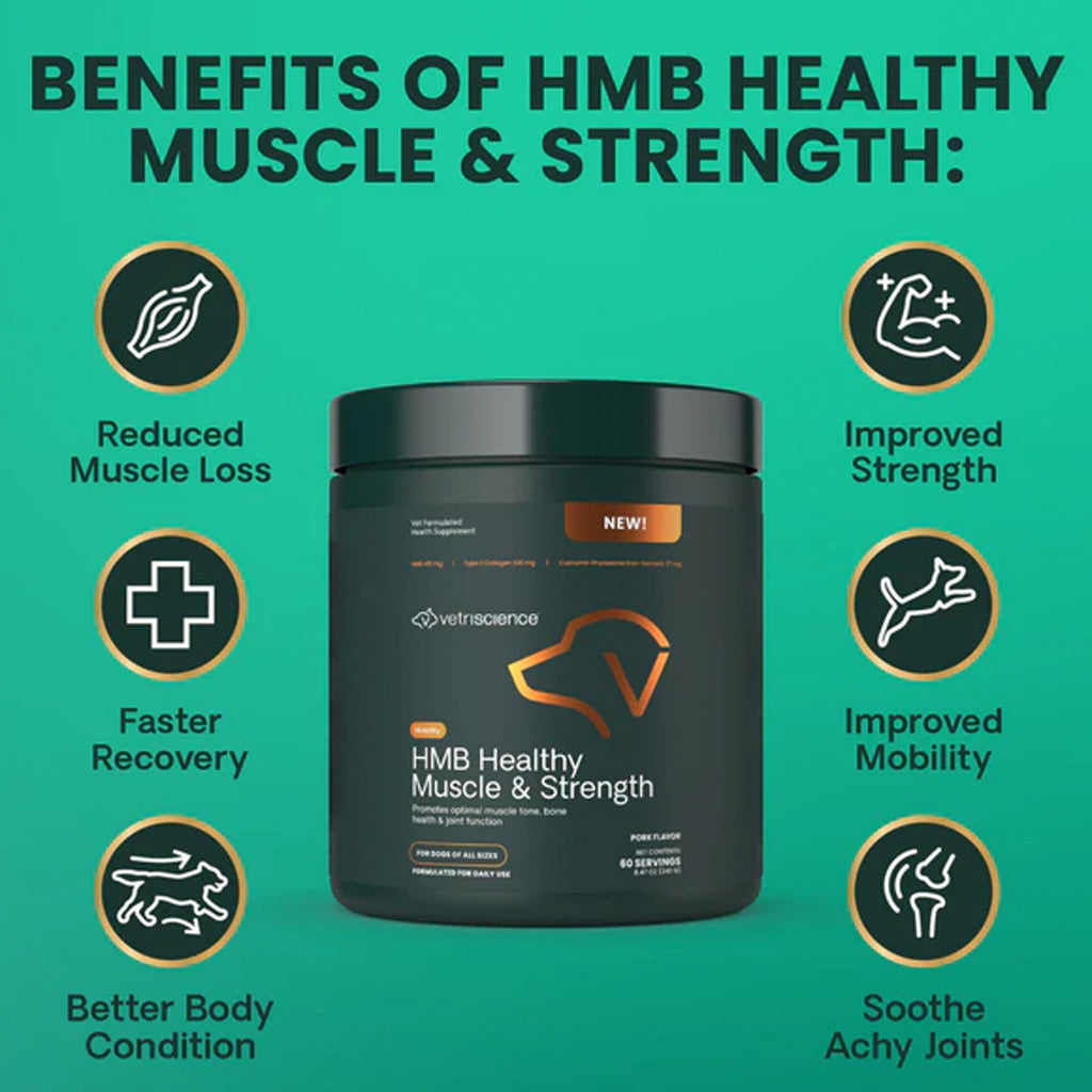 VetriScience HMB Healthy Muscle & Strength Granules for Dogs | 240 g | Available at Boss Pets UK