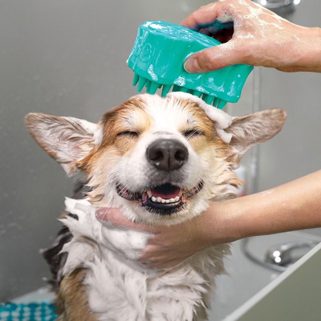 KONG ZoomGroom Bubbles being used to lather a dog's coat