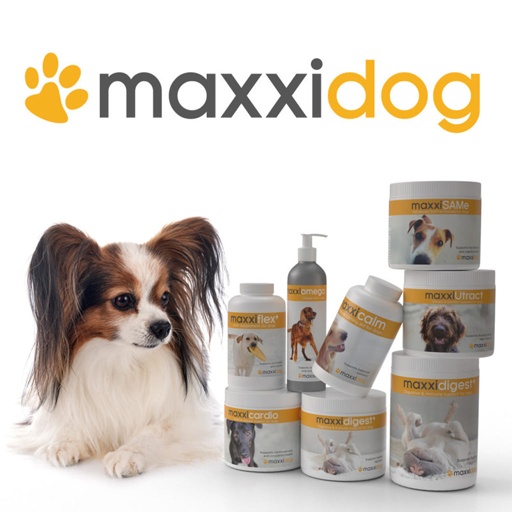 Maxxidog maxxipaws range
