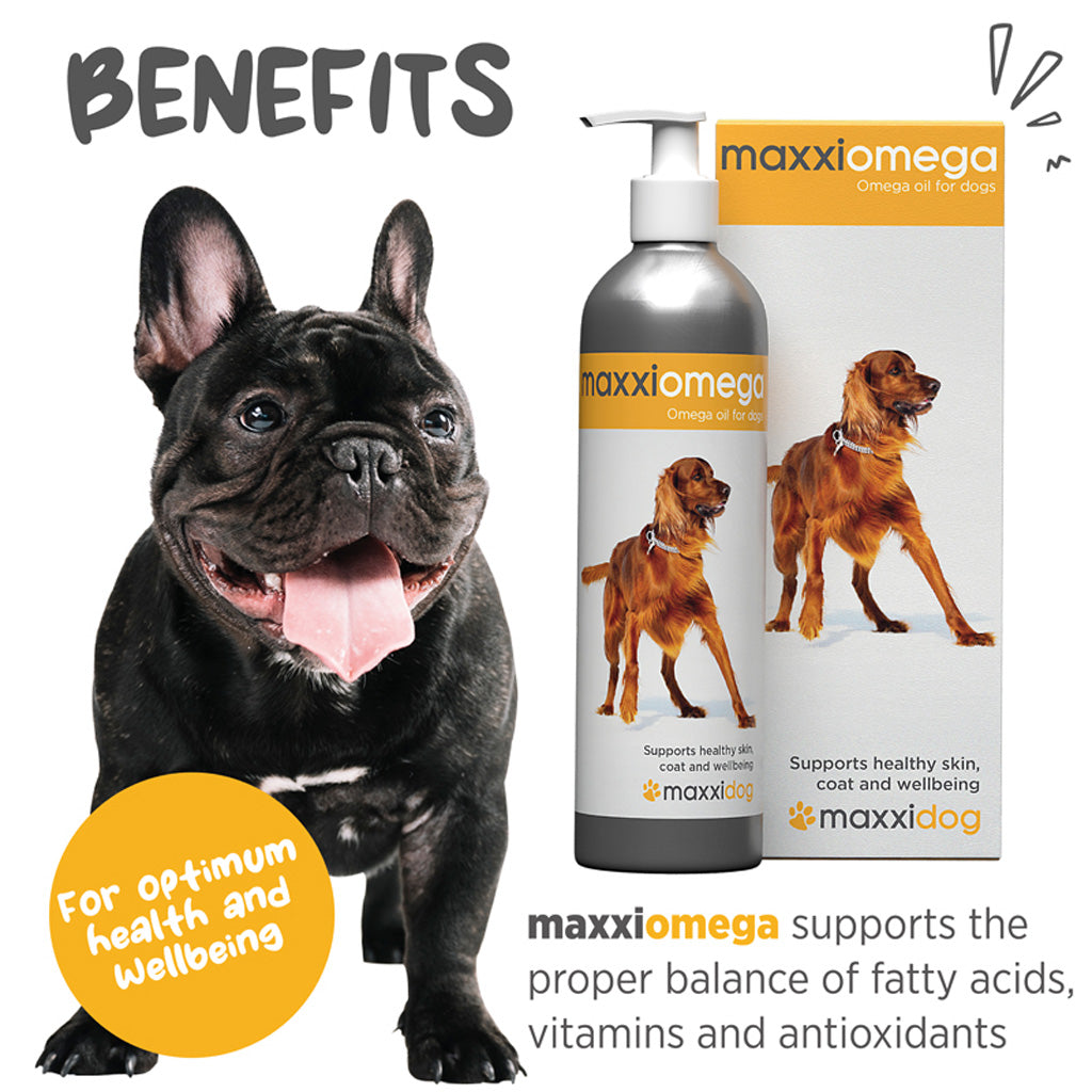 maxxiomega for dogs benefits
