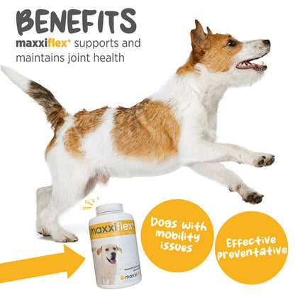 Maxxiflex+ hip & joint supplement for dogs benefits