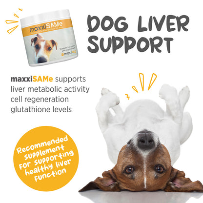 maxxiSAMe for dogs 150 g dog liver support