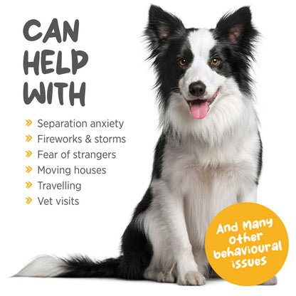 maxxicalm calming aid for dogs supplement can help with