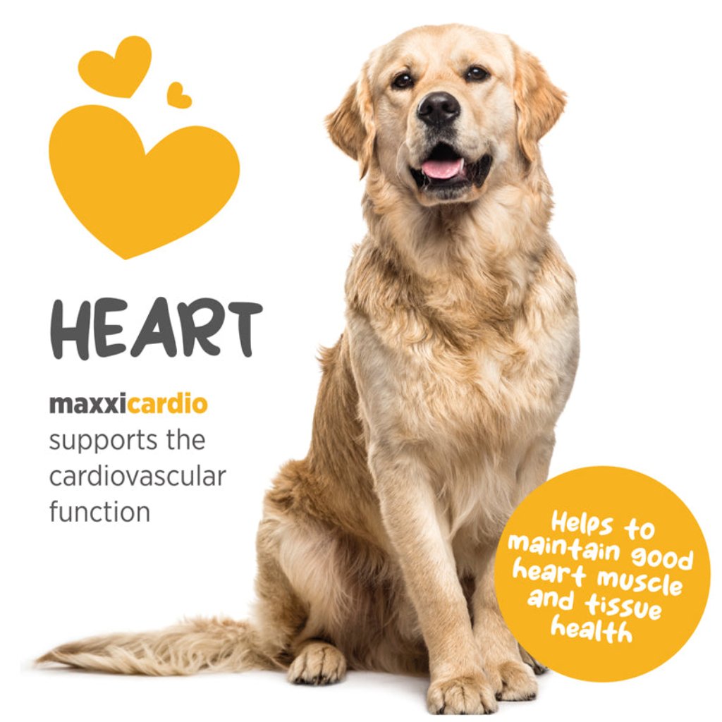 Maxxicardio for dogs heart support