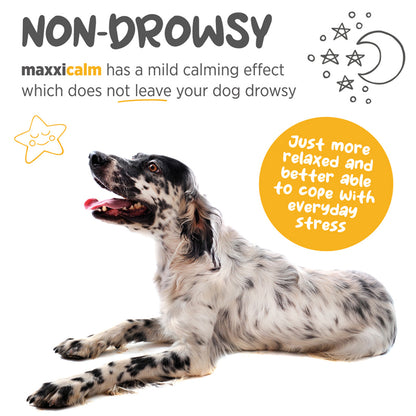 maxxicalm calming aid for dogs supplement non drowsy