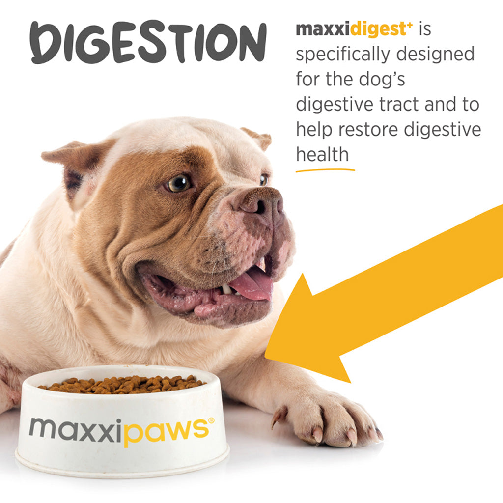 maxxidigest+ for dogs digestion