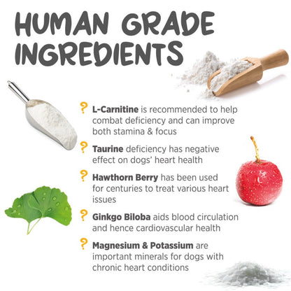 Maxxicardio for dogs human grade ingredients