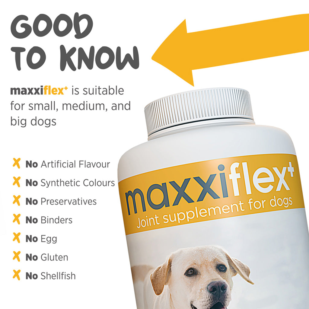 Maxxiflex+ hip & joint supplement for dogs good to know