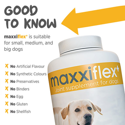 Maxxiflex+ hip & joint supplement for dogs good to know