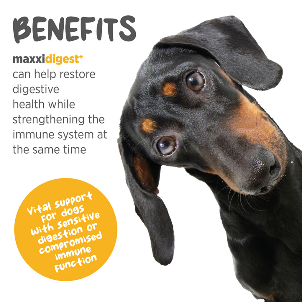 maxxidigest+ for dogs benefits