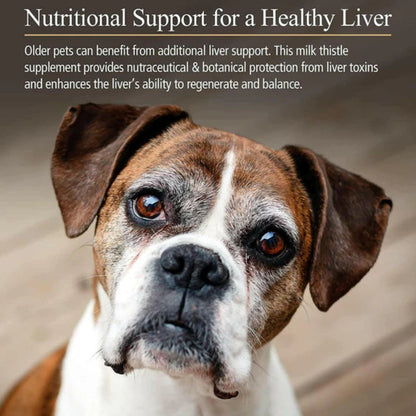 Dog with text about nutritional support for a healthy liver