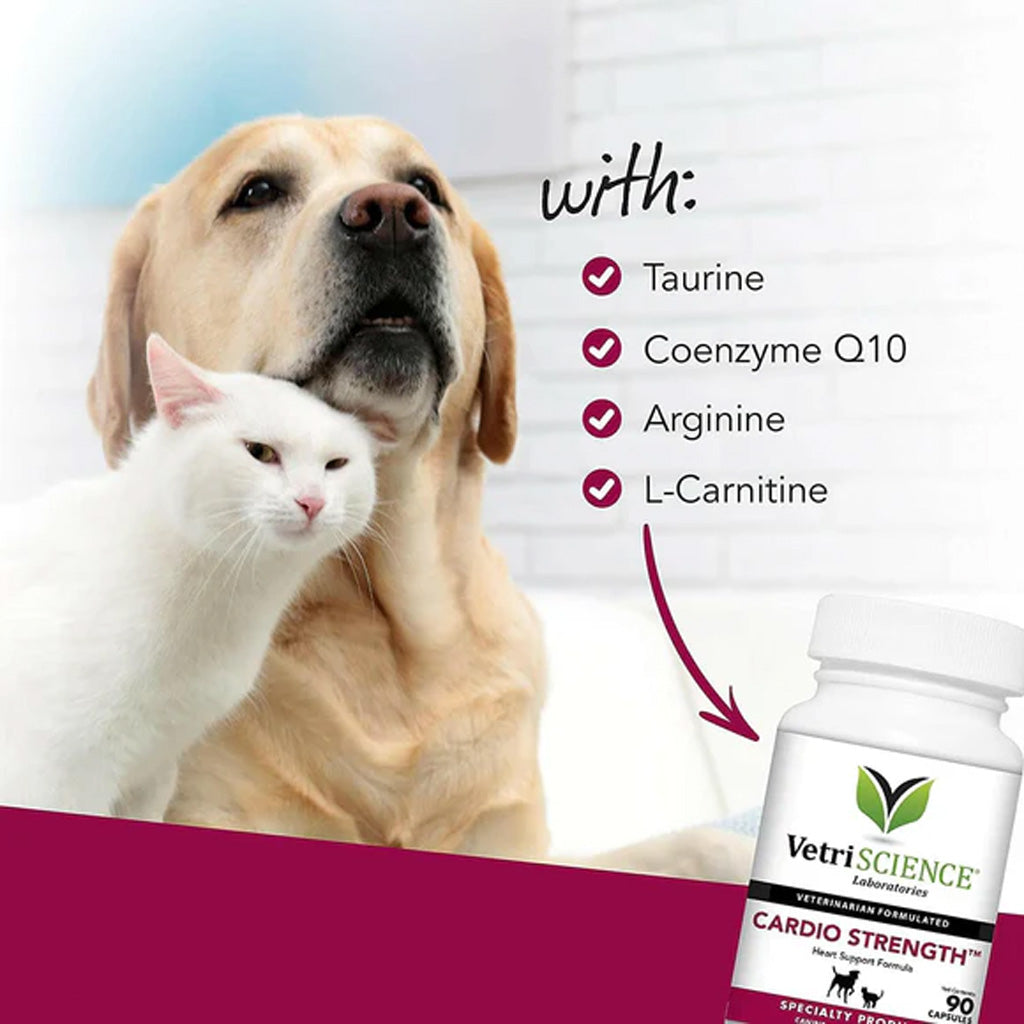 Dog and cat sitting together with a bottle of VetriScience Cardio Strength supplement.