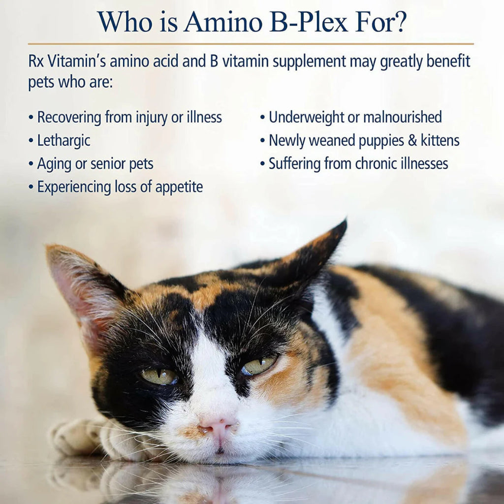 Calico cat with text about Amino B-Plex supplement for pets