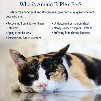 Calico cat with text about Amino B-Plex supplement for pets