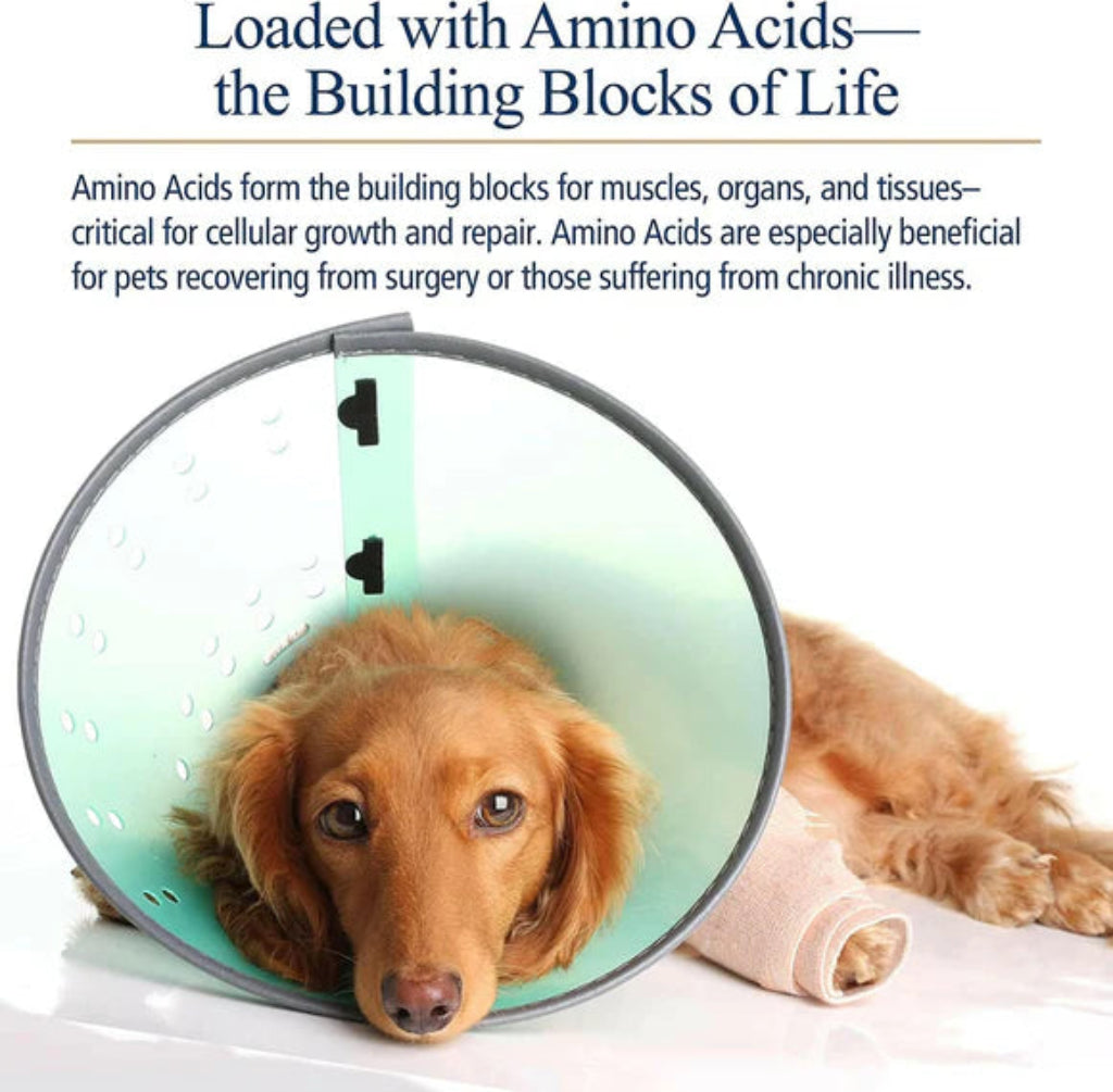 Dog wearing a cone collar with text about amino acids on a white background