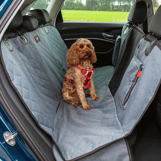 Dog sitting on the KONG 2-in-1 Bench Seat Cover in a car