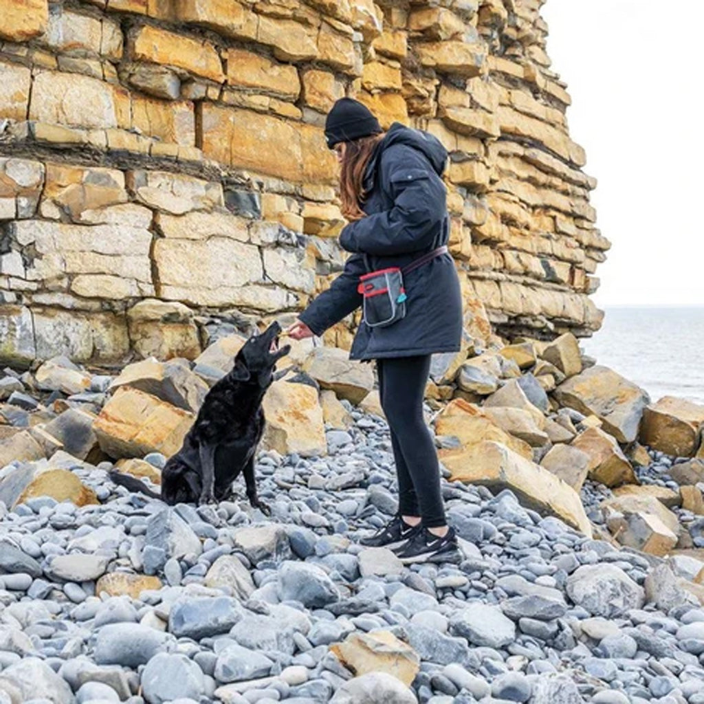 KONG Hiking Bag – Dog Walking Waist & Shoulder Bag | Available at Boss Pets UK
