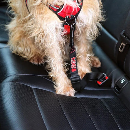 A small fluffy dog wearing a red and black harness with a black leash strap, sitting on a black car seat. The harness has the brand name 'KONG' printed vertically in white on the strap.