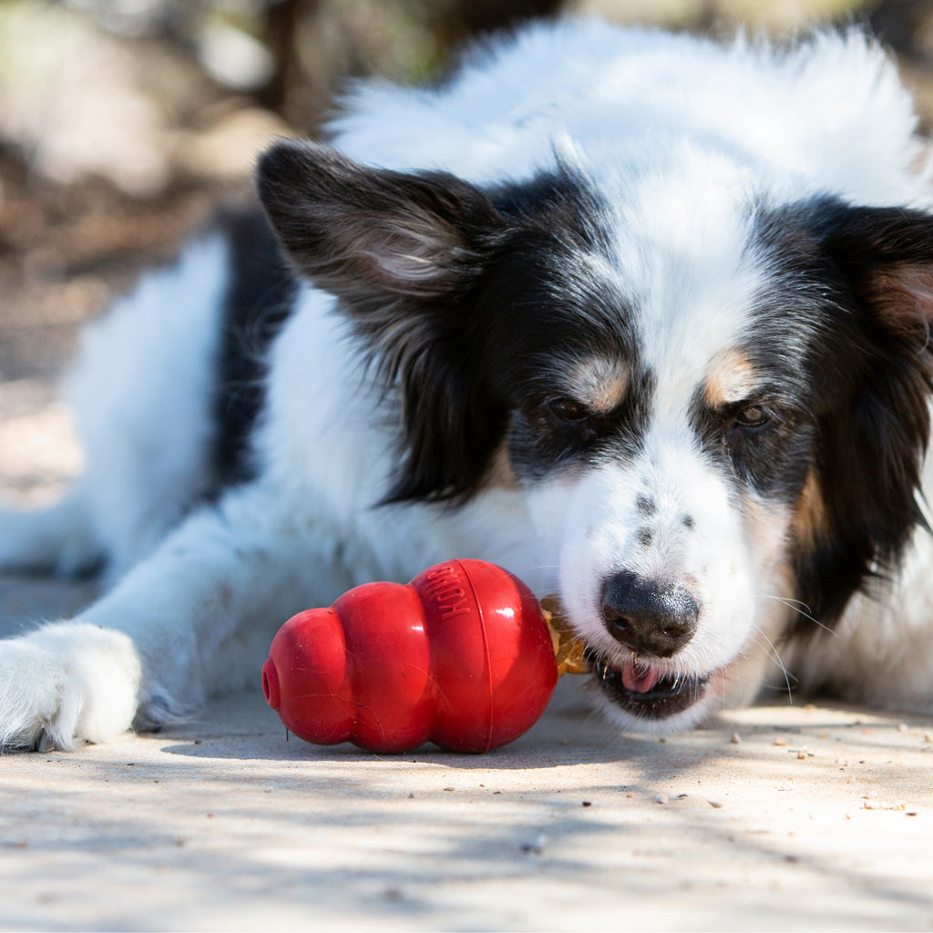 Kong Snacks Liver Snacks for Dogs – All-Natural Biscuits with Blueberries and Chicken