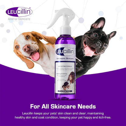 Leucillin spray bottle for all skincare needs