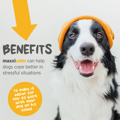 maxxicalm calming aid for dogs supplement  benefits