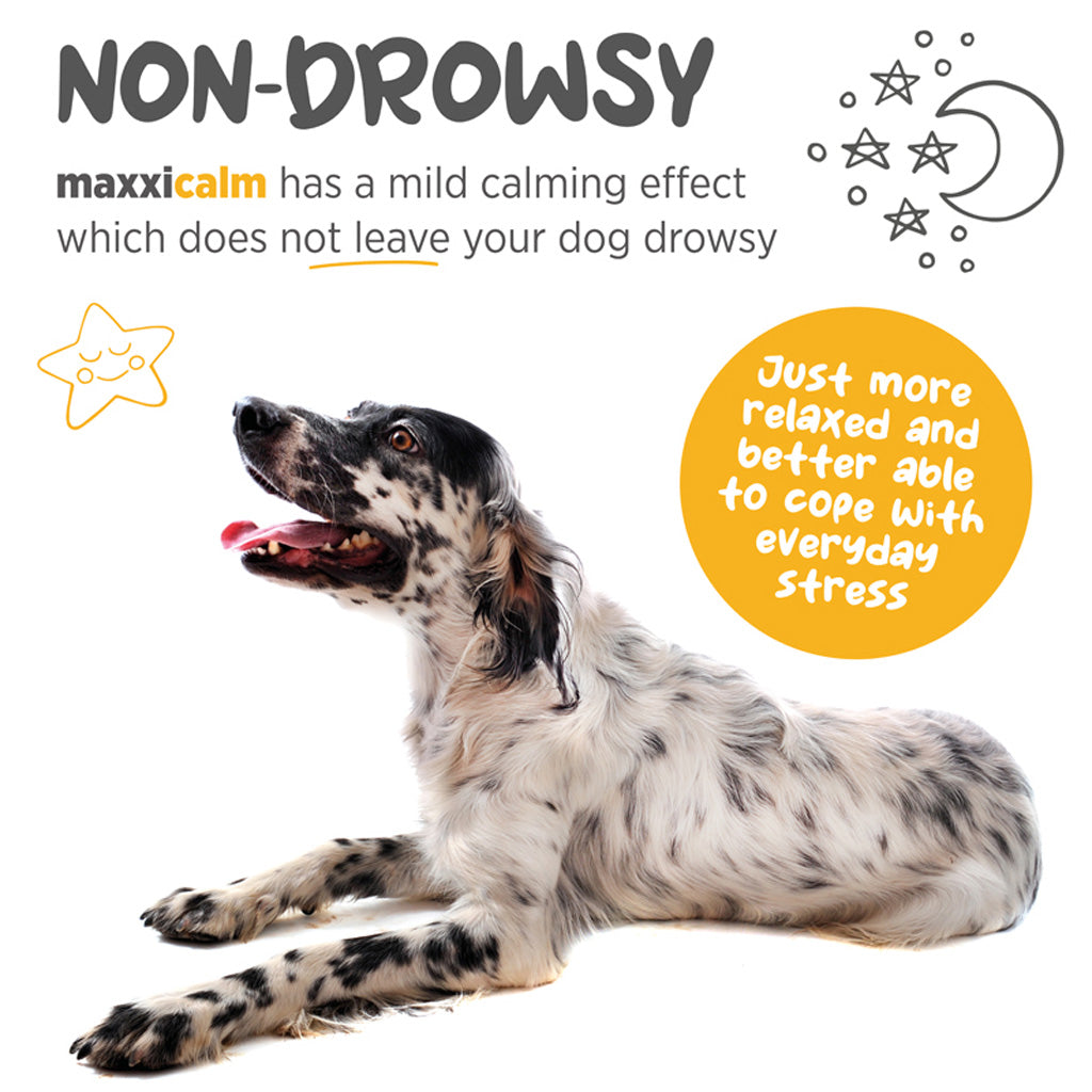 maxxicalm calming aid for dogs supplement non drowsy