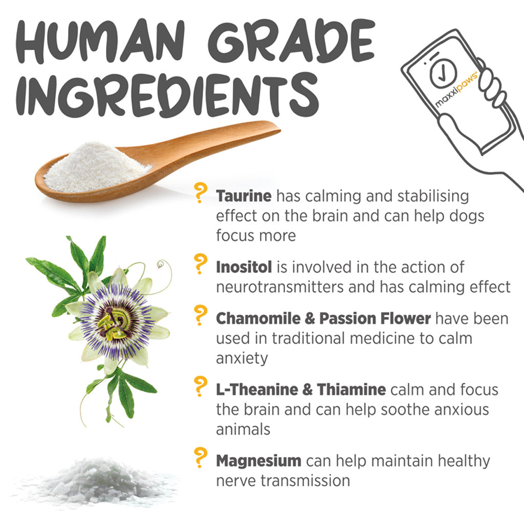 maxxicalm calming aid for dogs supplement human grade ingredients