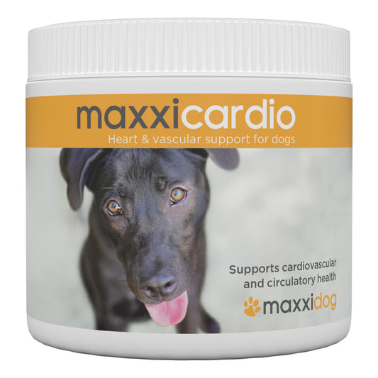 Maxxicardio for dogs 150g Powder
