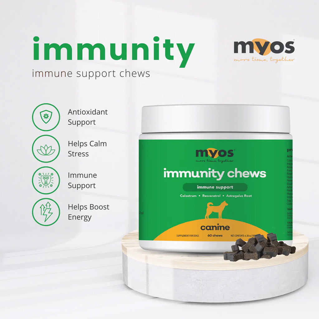 MYOS Canine Immunity Chews – Immune Support for Dogs | UK Stock