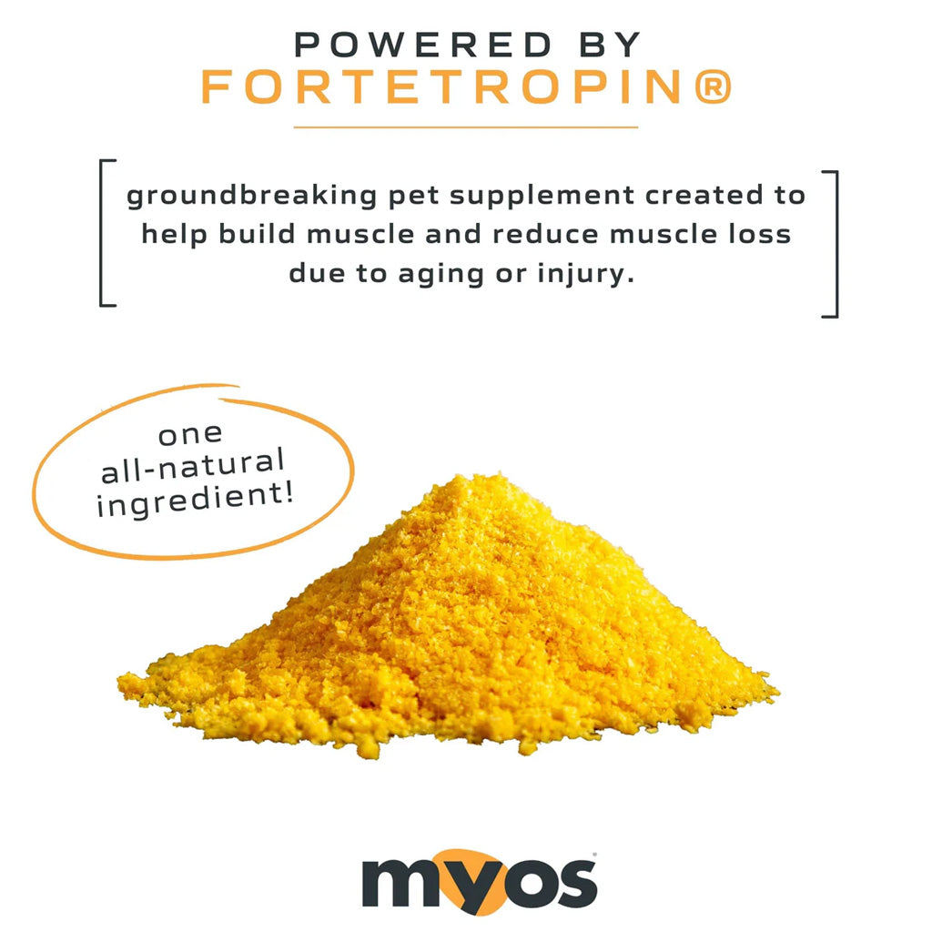 MYOS Canine Muscle Formula ingredient – Muscle & Mobility Support for Dogs – UK Stock