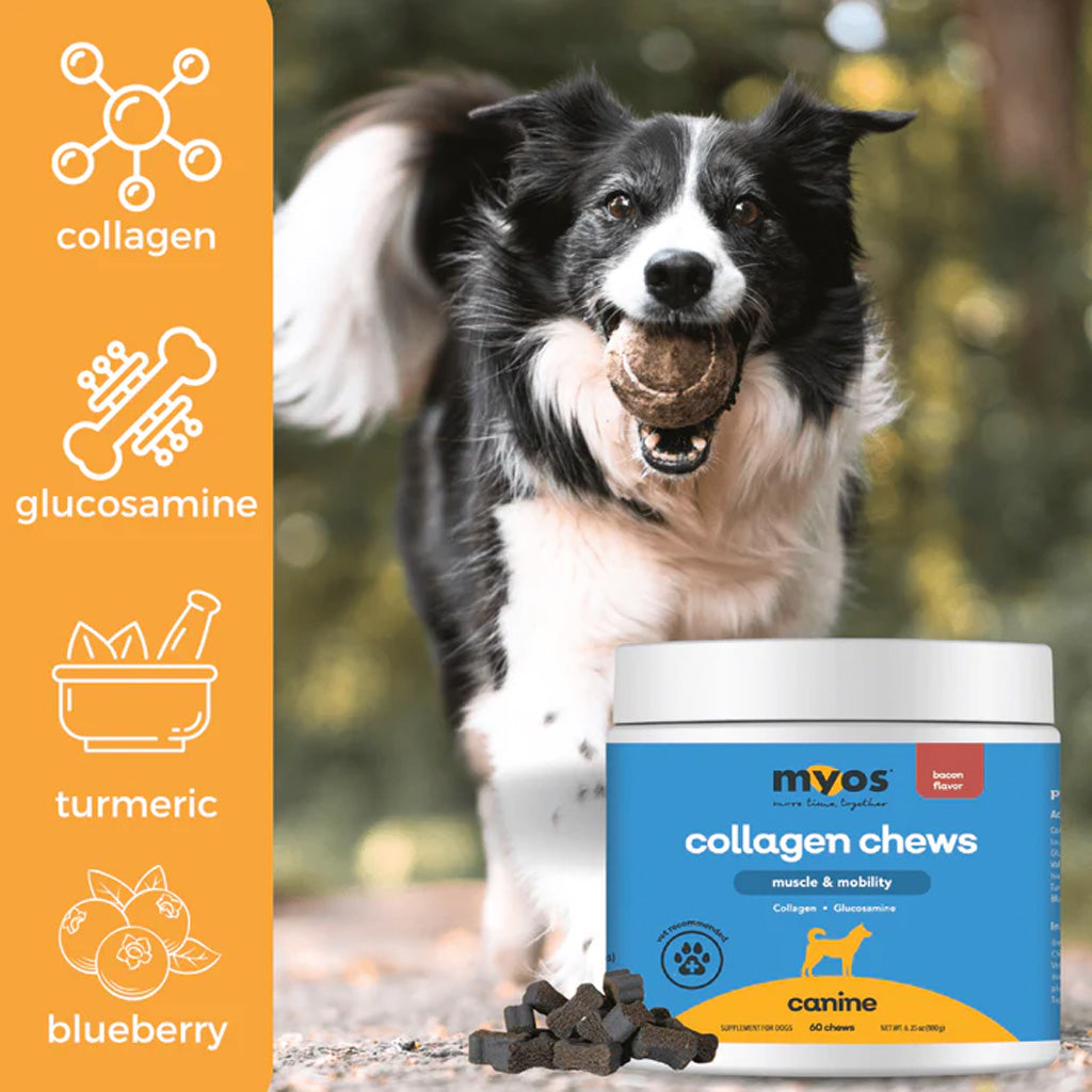 MYOS® Muscle & Mobility Collagen Chews – Joint & Mobility Support for Dogs | UK