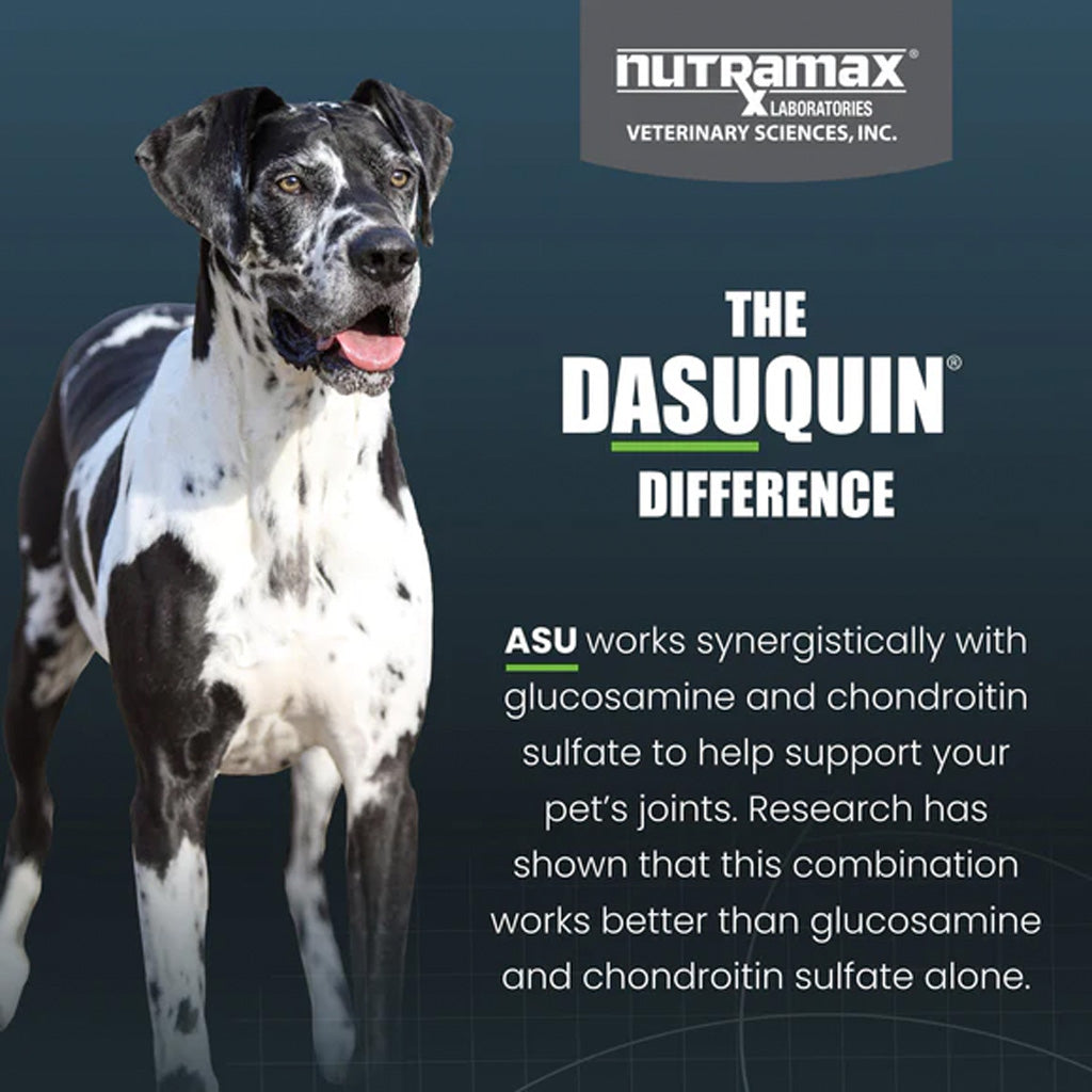 A black and white Great Dane dog is pictured on a dark teal background with Nutramax Laboratories Veterinary Sciences, Inc. branding and promotional text for Dasuquin Difference.