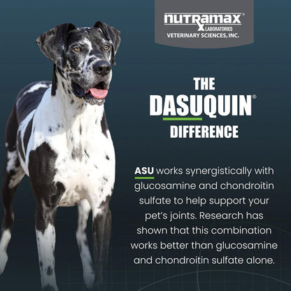 A black and white Great Dane dog is pictured on a dark teal background with Nutramax Laboratories Veterinary Sciences, Inc. branding and promotional text for Dasuquin Difference.