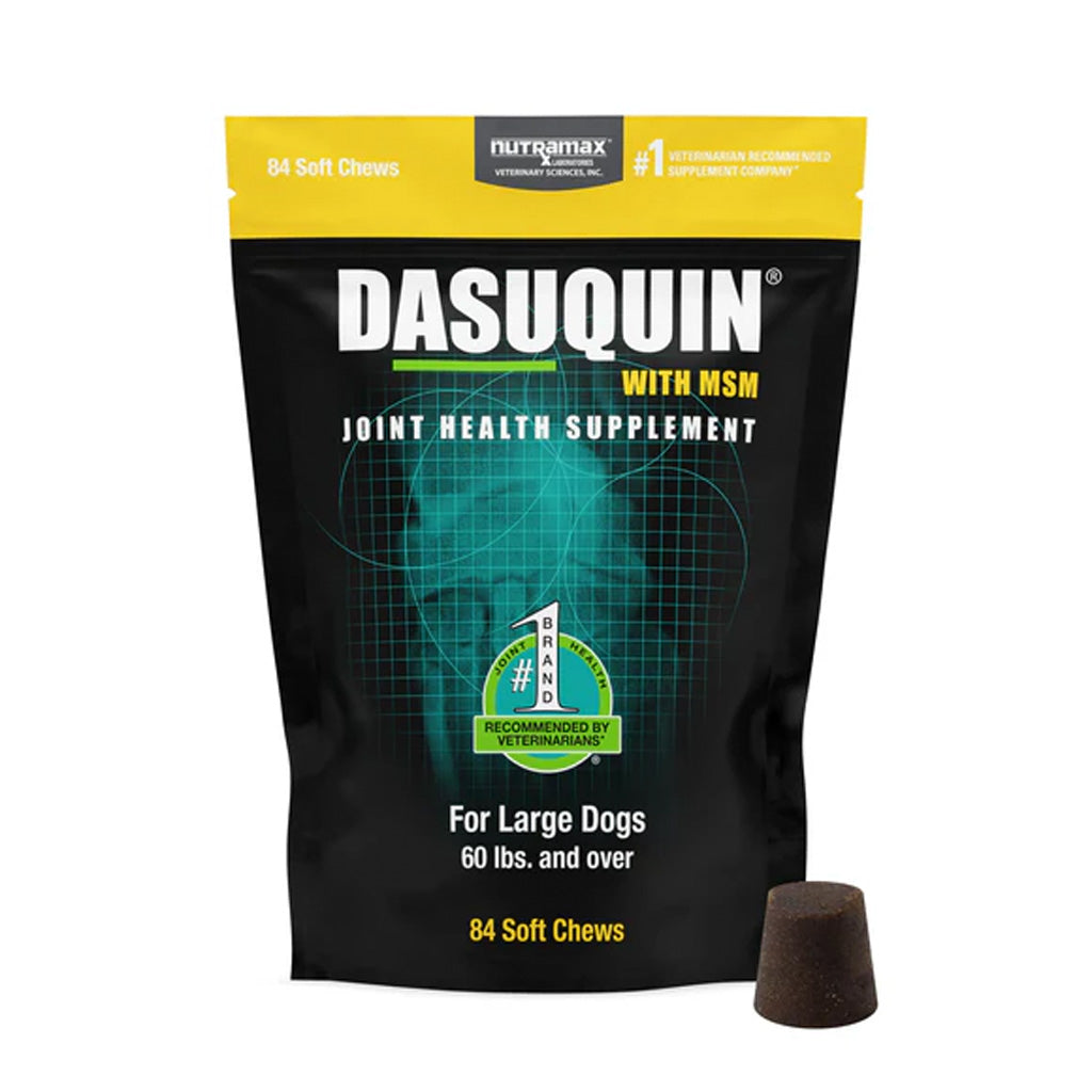 Dasuquin joint health supplement package for large dogs with a yellow top and black body.