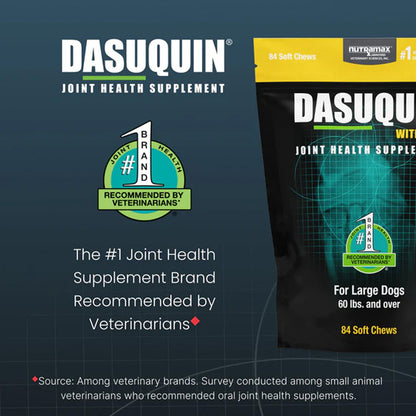 Dasuquin Joint Health Supplement for large dogs, featuring a black and yellow pouch on the right with a teal graphic, alongside brand and recommendation text on a dark blue background.